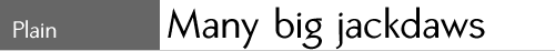sample text setting of Clear Prairie Dawn Plain